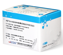 柯薩奇A16病毒RNA檢測試劑盒（PCR熒光法）_艾康生物技術(shù)（杭州）有限公司.png