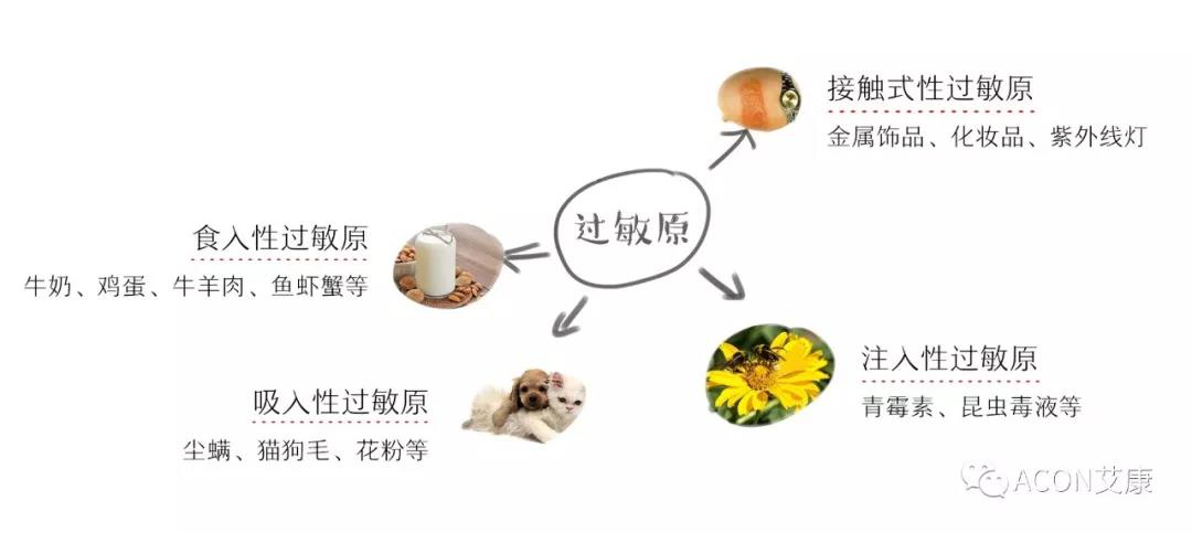 APAAACI 2019 | 深入解讀過敏原：從診斷到治療，優(yōu)化過敏原診斷管理——艾康生物過敏原檢測分會(huì)