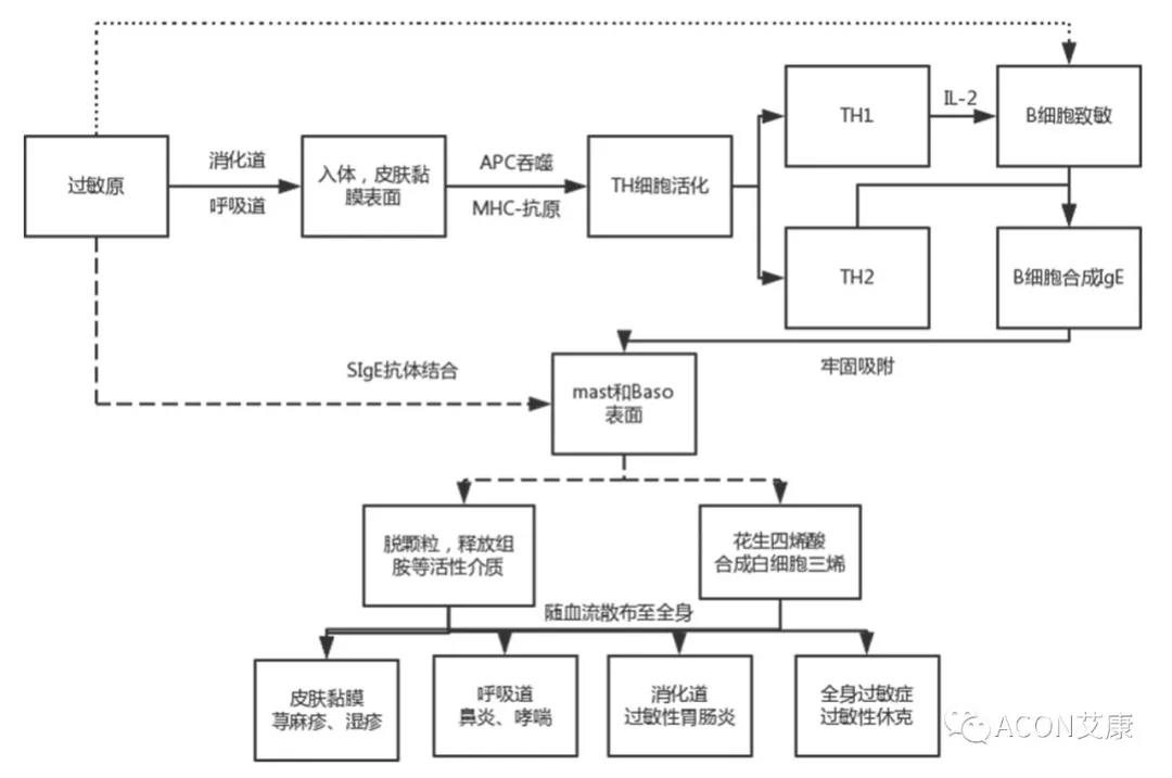 APAAACI 2019 | 深入解讀過敏原：從診斷到治療，優(yōu)化過敏原診斷管理——艾康生物過敏原檢測分會(huì)