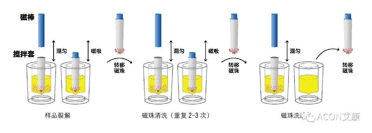 Promotor?核酸提純儀， 讓基因提純更便捷。