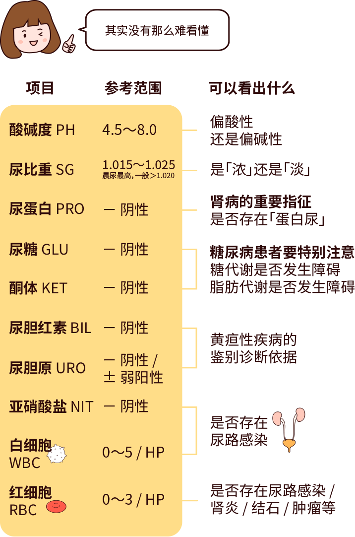排尿黃、異味大，可能是身體在報警！
