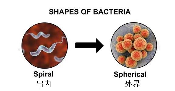 這種致癌物傳染性極強(qiáng)，50%中國(guó)人都有！很多人還不知道