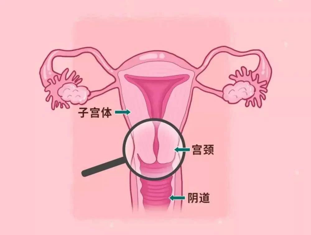 微信圖片_20210106095833.jpg