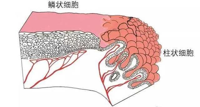 微信圖片_20210106095846.jpg