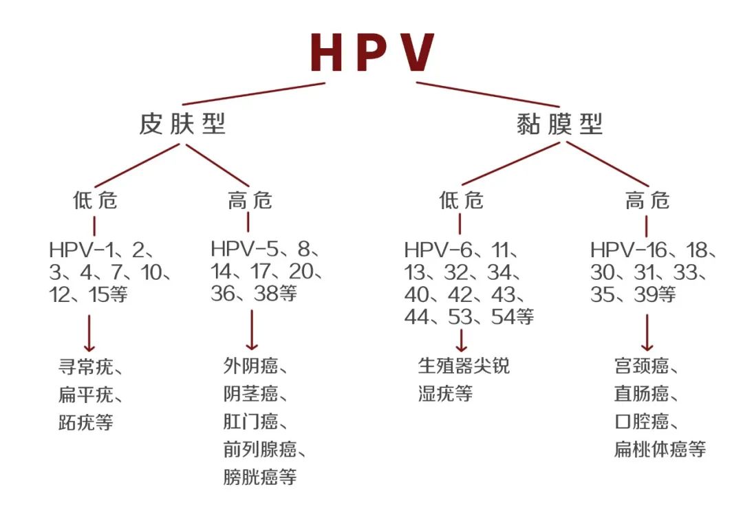 微信圖片_20210623090125.jpg