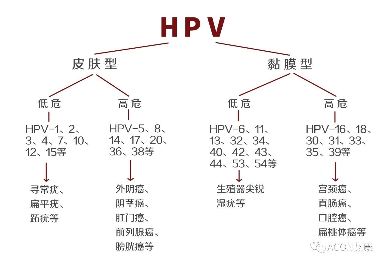 微信圖片_20210812154706.jpg